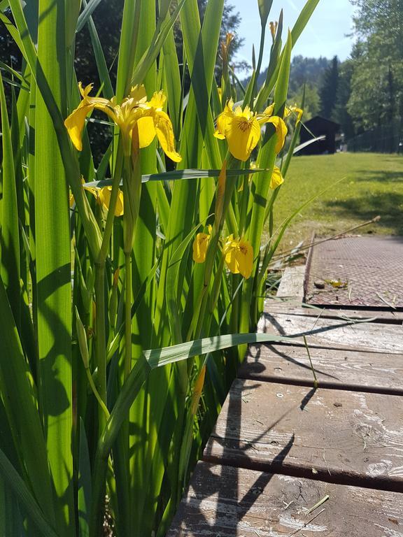 Ferienpension Garni Hubert Rigelnik Sankt Kanzian am Klopeiner See Zewnętrze zdjęcie
